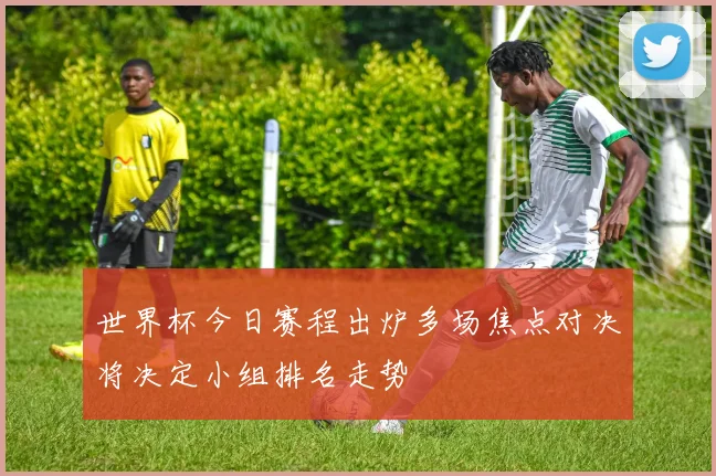 世界杯今日赛程出炉多场焦点对决将决定小组排名走势