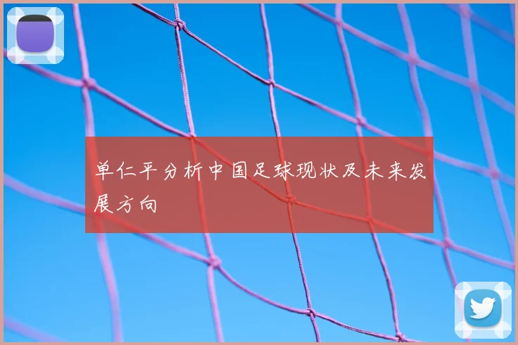 单仁平分析中国足球现状及未来发展方向