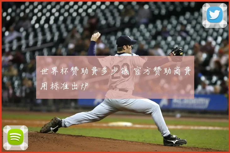 世界杯赞助费多少钱 官方赞助商费用标准出炉