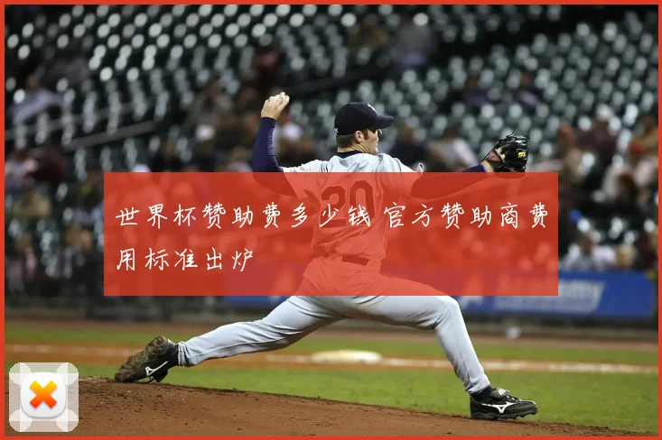 世界杯赞助费多少钱 官方赞助商费用标准出炉
