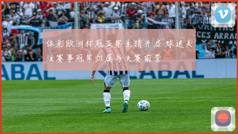 体彩欧洲杯冠亚军竞猜开启 球迷关注赛事冠军归属与决赛前景